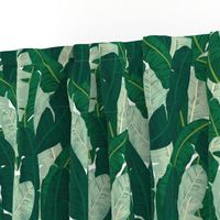 Classic Banana Leaves in Palm Springs Green