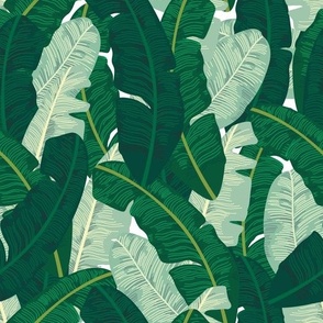 Classic Banana Leaves in Palm Springs Green