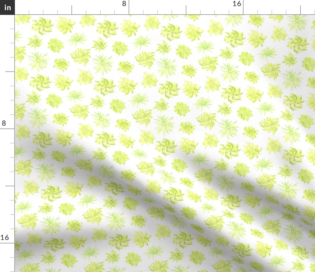 17-15D Watercolor Succulent Lime Green Yellow White Floral Southwest Spring Botanical _Miss Chiff Designs