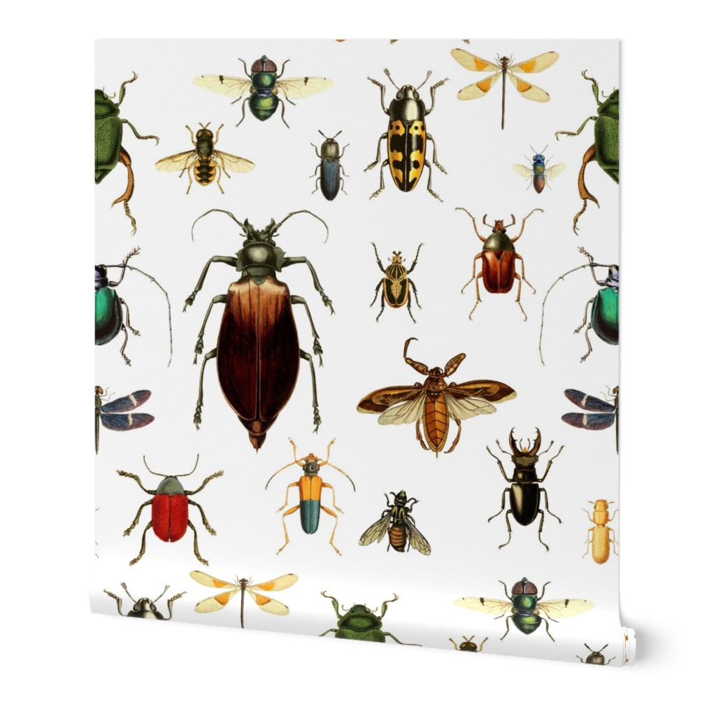 BUGS COLLECTION / VINTAGE / WHITE