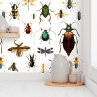 BUGS COLLECTION / VINTAGE / WHITE