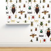 BUGS COLLECTION / VINTAGE / WHITE