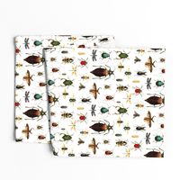 BUGS COLLECTION / VINTAGE / WHITE