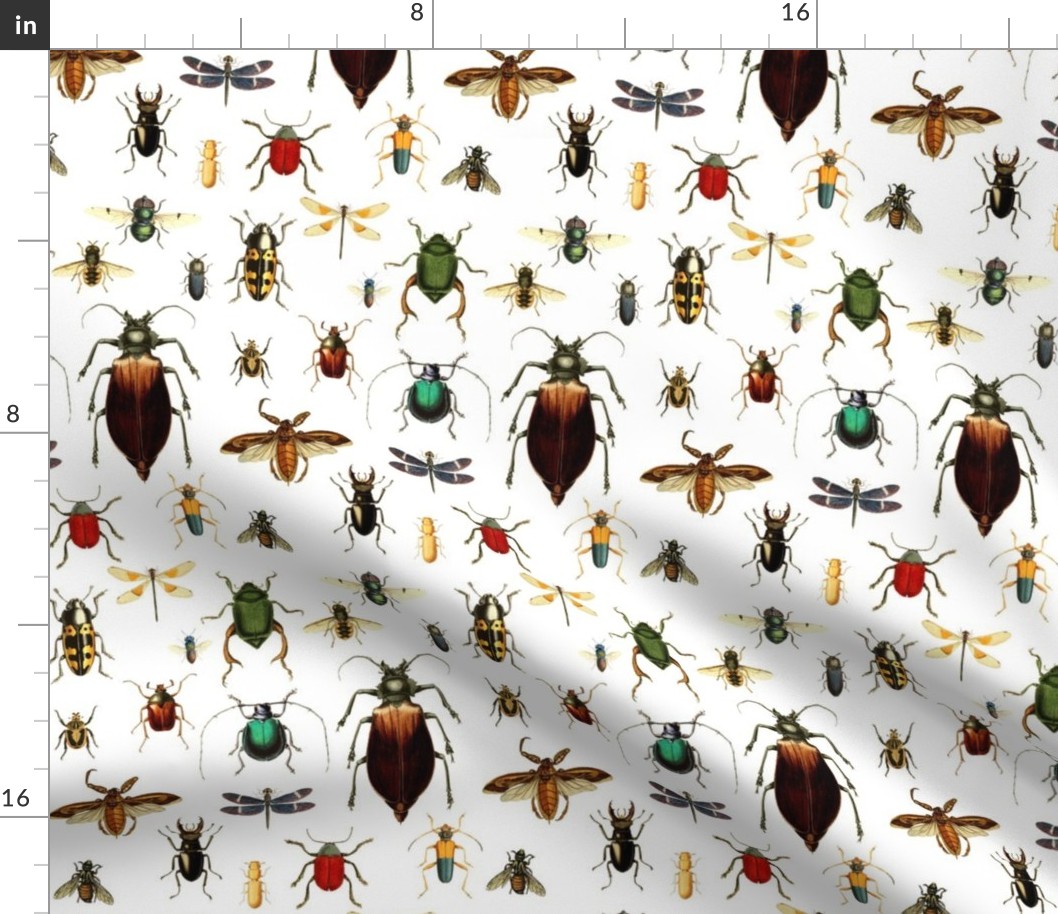 BUGS COLLECTION / VINTAGE / WHITE