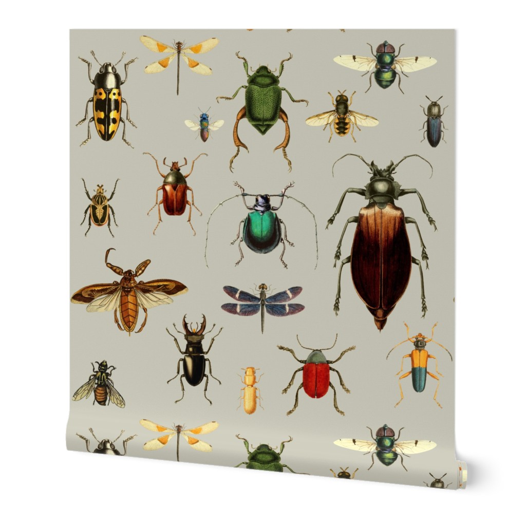 BUGS COLLECTION / VINTAGE / TAN