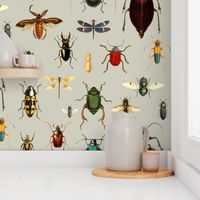 BUGS COLLECTION / VINTAGE / TAN