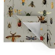 BUGS COLLECTION / VINTAGE / TAN