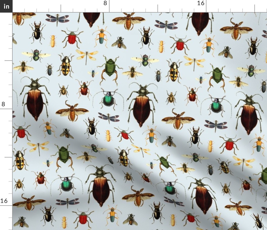 BUGS COLLECTION / VINTAGE / BLUE
