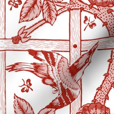 The William Morris Collection ~ Birds On A Trellis ~ Turkey Red and White 