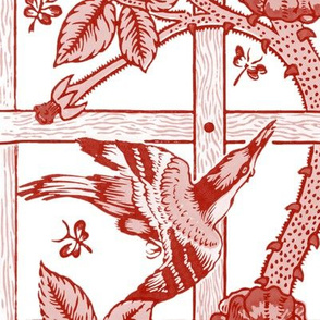 The William Morris Collection ~ Birds On A Trellis ~ Turkey Red and White 