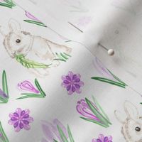 Baby Rabbit || Small Easter Bunny Watercolor Crocus Spring Floral Purple Green Lilac gray grey White  Animal _ Miss Chiff Designs