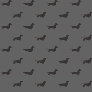 Dachshunds Pattern  Grey
