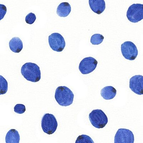 watercolor blueberry