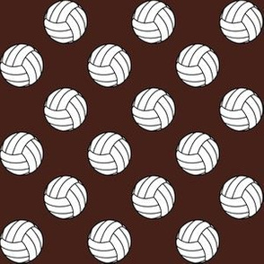 One Inch Black and White Volleyballs on Brown