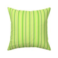 Spring Green Stripe