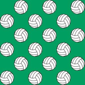 One Inch Black and White Volleyballs on Shamrock Green