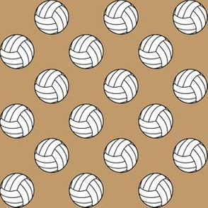 Volleyball Wallpaper  EniWp