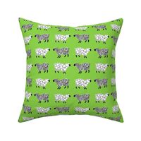 Cottonball Celtic Sheep on green