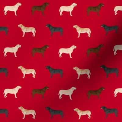 labrador retriever dog fabric dogs design - red