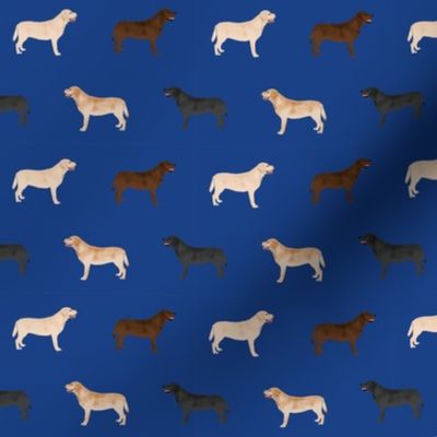 labrador retriever dog fabric dogs design - royal blue