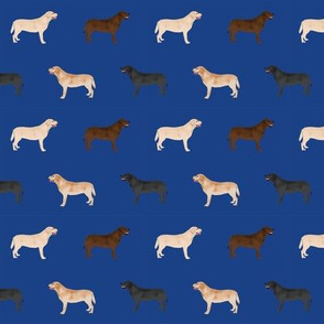 labrador retriever dog fabric dogs design - royal blue