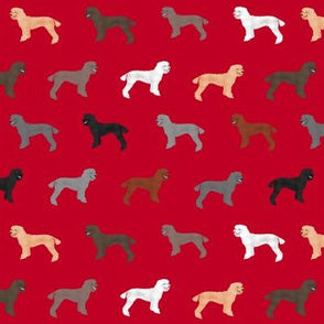 poodle dog fabric poodles dog design - red