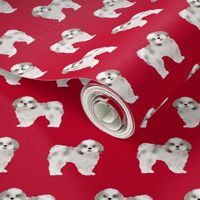 shih tzu fabric dog fabrics shih tsu dogs - reed