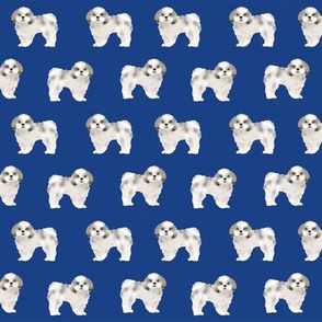 shih tzu fabric dog fabrics shih tsu dogs - royal blue