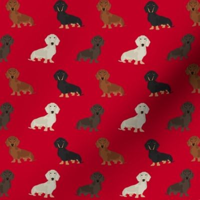 dachshund dog fabric doxie dogs fabric - red