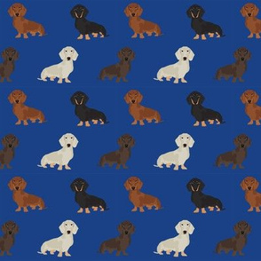dachshund dog fabric doxie dogs fabric - royal blue