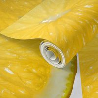 Snowcatcher Lemon Cheater Panel