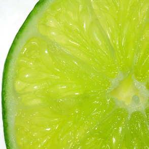 Snowcatcher Lime Cheater Panel