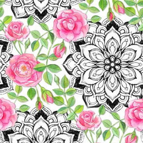 Pink Roses and Mandalas on White