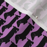 Dachshund 2 black & purple / Dog Print 