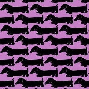 Dachshund 2 black & purple / Dog Print 