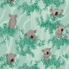 Sleeping Koala Bears on a Eucalyptus Trees and Mint Background