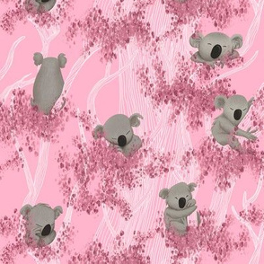 Sleeping Koala Bears on pink Eucalyptus Trees and Background
