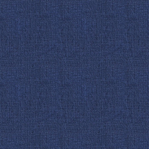 Square Weave Blue Denim