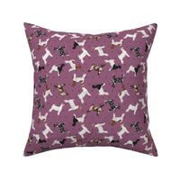 Polka Dot Boer Goat - Purple