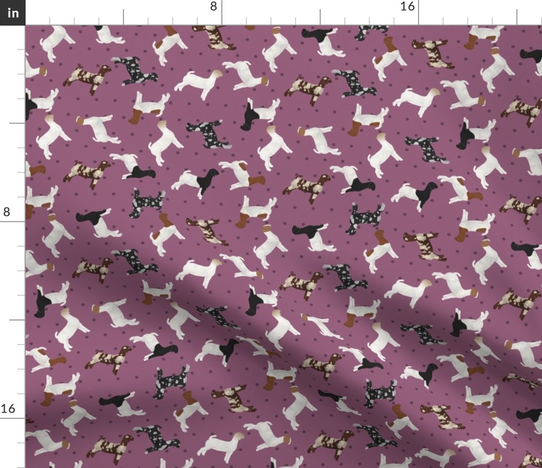 Polka Dot Boer Goat - Purple