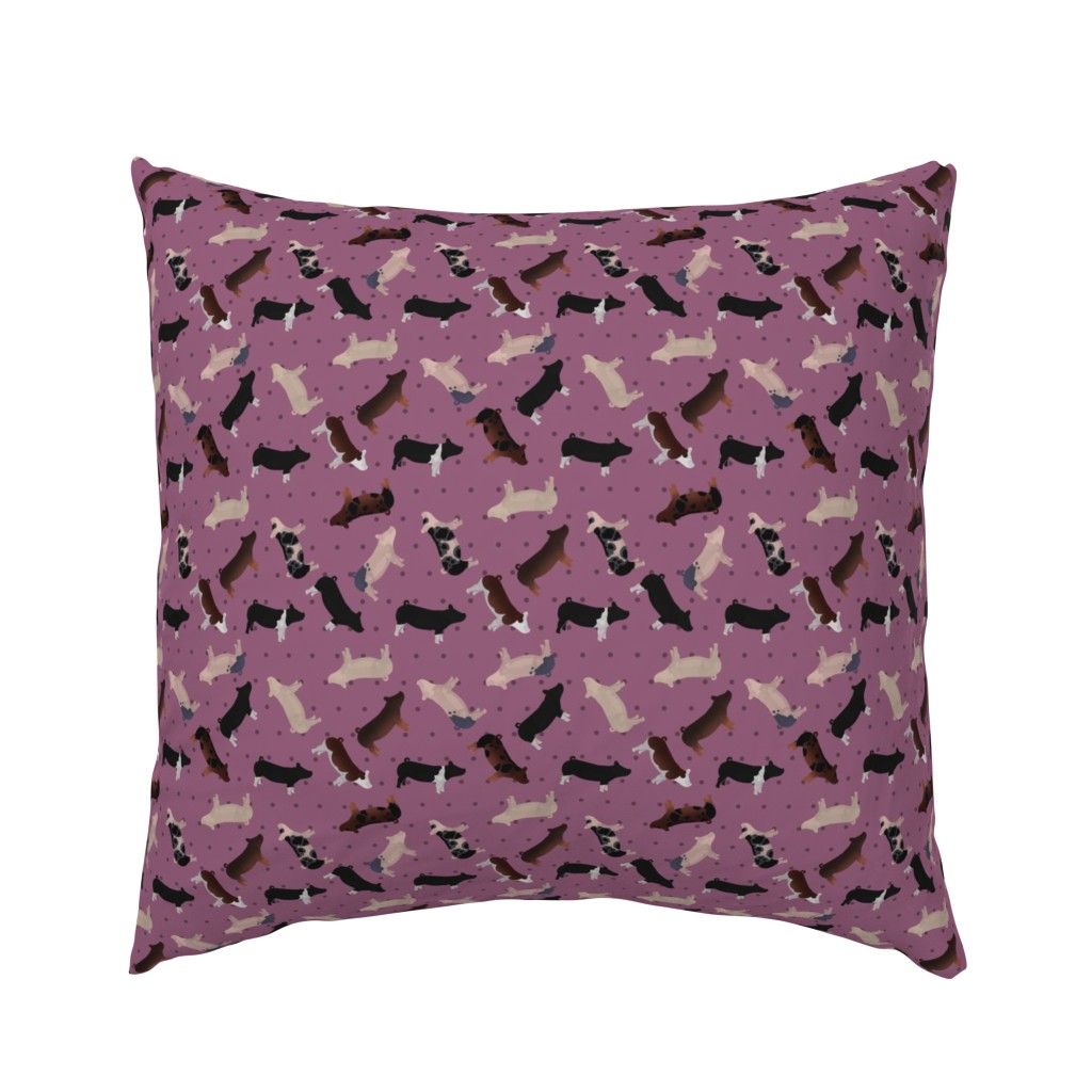 Polka Dot Belted Pig - Purple