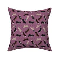 Polka Dot Belted Pig - Purple