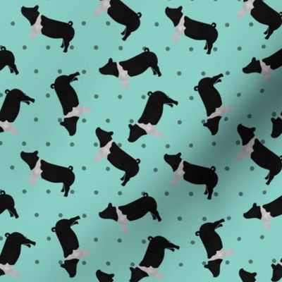 Polka Dot Belted Pig - Teal