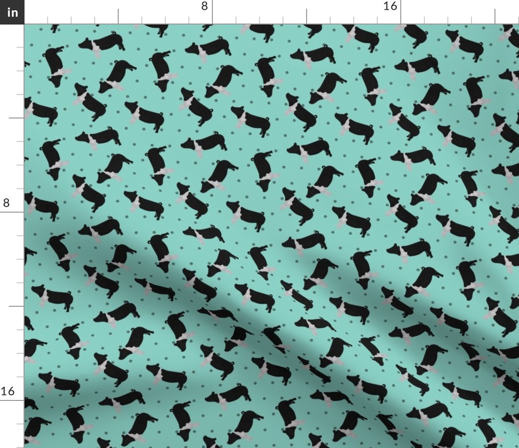 Polka Dot Belted Pig - Teal