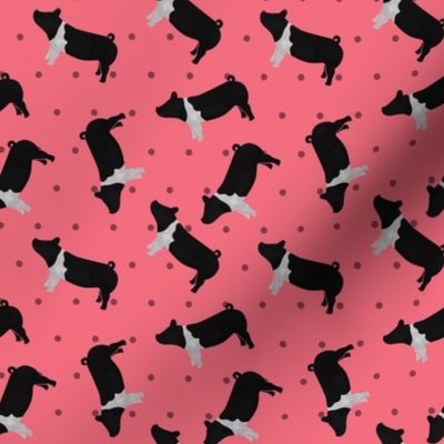 Polka Dot Belted Pig - Pink