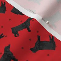 Polka Dot Steer - Red