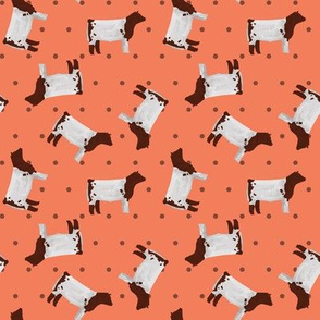 Polka Dot Shorthorn Steer - Coral