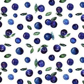 Watercolor blueberries