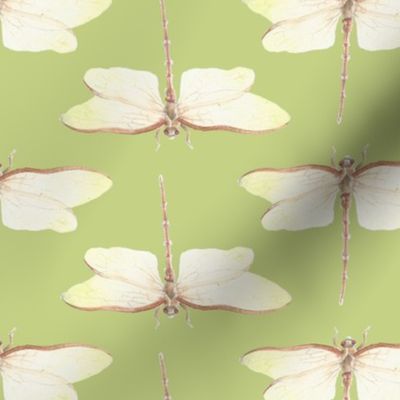 Dragonfly Pattern - Lucky Woodlands