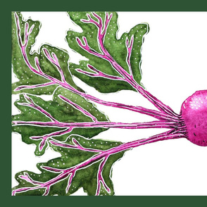 Watercolor Beet Tea towel design 